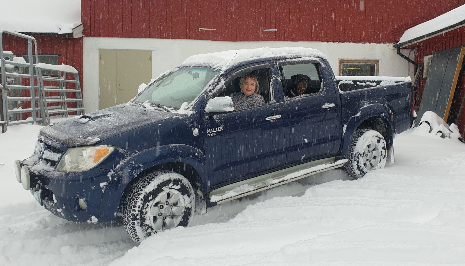 <strong>PÅ TUNET:</strong> Inger Torild Veseth med Litago, bilen, altså, på gården Øvre Valien en mils kjøring fra Gjøvik. <strong>PÅ TUNET:</strong> Inger Torild Veseth med Litago, bilen, altså, på gården Øvre Valien en mils kjøring fra Gjøvik.