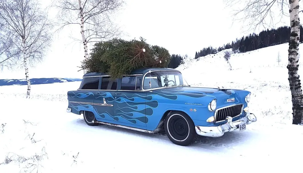 <span class="font-weight-bold" data-lab-font_weight_desktop="font-weight-bold">TYNER MULIGHETEN: </span>Johnny Malmo i Steinkjer kommune hugger juletreet selv og frakter det hjem ved hjelp av sin flammelakkert Chevrolet. <span class="font-weight-bold" data-lab-font_weight_desktop="font-weight-bold">TYNER MULIGHETEN: </span>Johnny Malmo i Steinkjer kommune hugger juletreet selv og frakter det hjem ved hjelp av sin flammelakkert Chevrolet.
