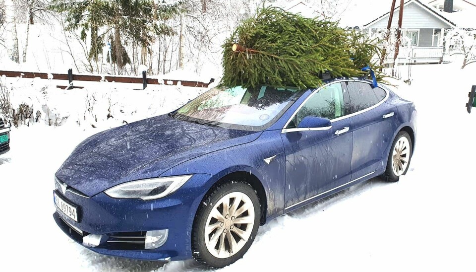 TAKTFAST: Tesla-eiere feirer også jul, og Lars Finne kapper eget grantre til formålet