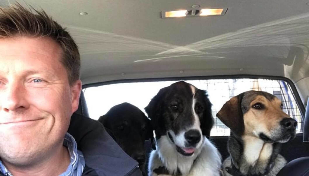 <span class="font-weight-bold" data-lab-font_weight_desktop="font-weight-bold">TREKLØVER: </span>Christian Gunneng og hundene Leah, Marthe og Bobbsen i flokkens VW Amarok. Men det er andrebilen, cabrioleten Peugeot 205 CTi, som er husdyras soleklare favoritt. <span class="font-weight-bold" data-lab-font_weight_desktop="font-weight-bold">TREKLØVER: </span>Christian Gunneng og hundene Leah, Marthe og Bobbsen i flokkens VW Amarok. Men det er andrebilen, cabrioleten Peugeot 205 CTi, som er husdyras soleklare favoritt.