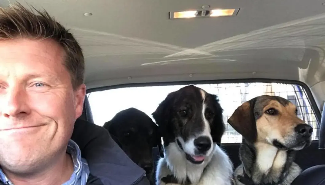 <span class="font-weight-bold" data-lab-font_weight_desktop="font-weight-bold">TREKLØVER: </span>Christian Gunneng og hundene Leah, Marthe og Bobbsen i flokkens VW Amarok. Men det er andrebilen, cabrioleten Peugeot 205 CTi, som er husdyras soleklare favoritt. <span class="font-weight-bold" data-lab-font_weight_desktop="font-weight-bold">TREKLØVER: </span>Christian Gunneng og hundene Leah, Marthe og Bobbsen i flokkens VW Amarok. Men det er andrebilen, cabrioleten Peugeot 205 CTi, som er husdyras soleklare favoritt.