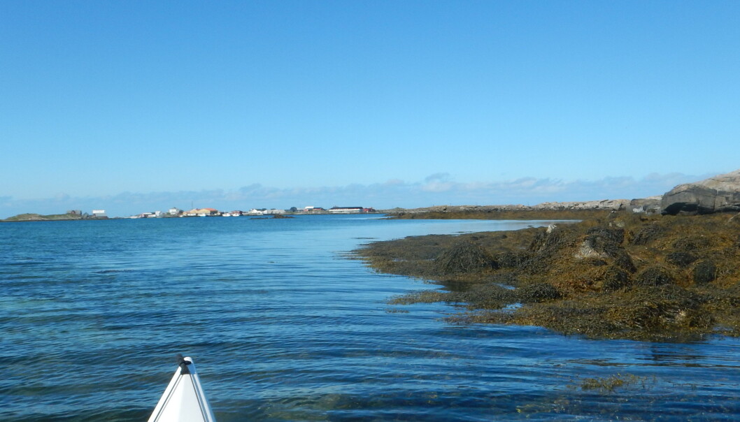 <span class="font-weight-bold" data-lab-font_weight_desktop="font-weight-bold">SJEKK VÆRET:</span> Lofoten og Røst er vidunderlig i stille, men en kajakktur kan være krevende når det blåser opp… <span class="font-weight-bold" data-lab-font_weight_desktop="font-weight-bold">SJEKK VÆRET:</span> Lofoten og Røst er vidunderlig i stille, men en kajakktur kan være krevende når det blåser opp…