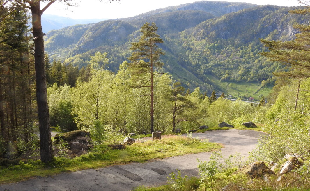 UTEN LIKE: Veien over Tronåsen går fra rasteplassen ved Tronvik til Bakke bro og Sirnesvegen, langs elven Sira i nabokommunen. Maken til bratt og svingete vei skal du lete lenge etter. UTEN LIKE: Veien over Tronåsen går fra rasteplassen ved Tronvik til Bakke bro og Sirnesvegen, langs elven Sira i nabokommunen. Maken til bratt og svingete vei skal du lete lenge etter.