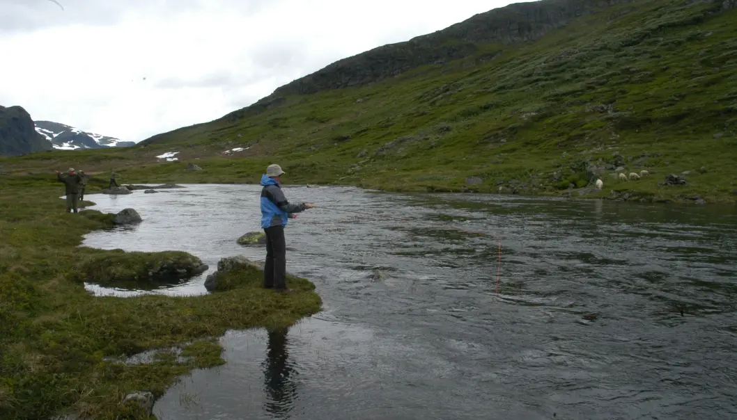 <span class="font-weight-bold" data-lab-font_weight_desktop="font-weight-bold">SKITT FISKE:</span> Det er gode fiskemuligheter i området. <span class="font-weight-bold" data-lab-font_weight_desktop="font-weight-bold">SKITT FISKE:</span> Det er gode fiskemuligheter i området.