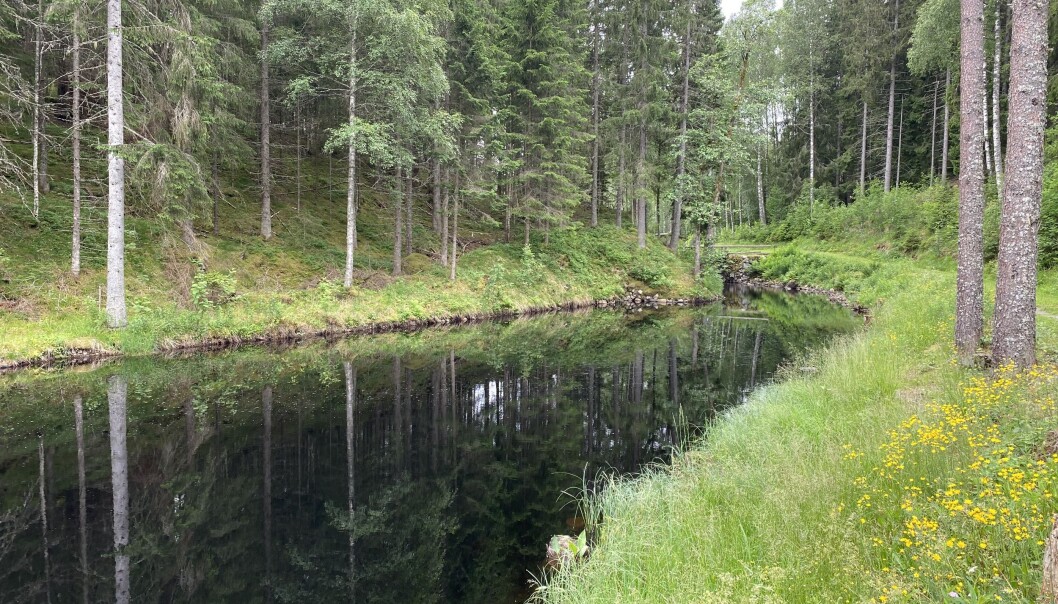 <span class="font-weight-bold" data-lab-font_weight_desktop="font-weight-bold">SOOT-KANALEN:</span> En sluse ved Soot-kanalen, og deretter partiet ovenfor slusen (nederste bilde). <span class="font-weight-bold" data-lab-font_weight_desktop="font-weight-bold">SOOT-KANALEN:</span> En sluse ved Soot-kanalen, og deretter partiet ovenfor slusen (nederste bilde).
