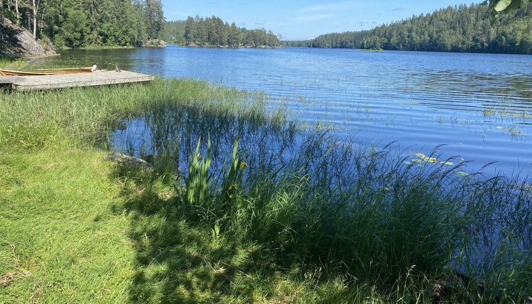 <span class="font-weight-bold" data-lab-font_weight_desktop="font-weight-bold">2 KM LANG DRØM: </span>Mortsjølungen. <span class="font-weight-bold" data-lab-font_weight_desktop="font-weight-bold">2 KM LANG DRØM: </span>Mortsjølungen.