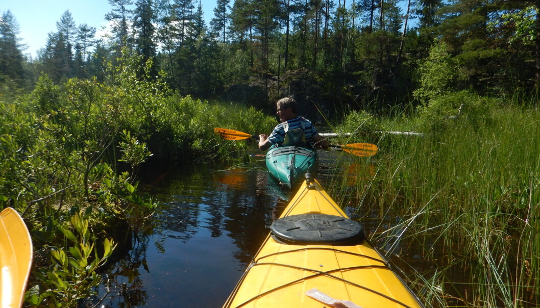 <span class="font-weight-bold" data-lab-font_weight_desktop="font-weight-bold">STOPP: </span>Til Gulltjenn var det stengt… <span class="font-weight-bold" data-lab-font_weight_desktop="font-weight-bold">STOPP: </span>Til Gulltjenn var det stengt…