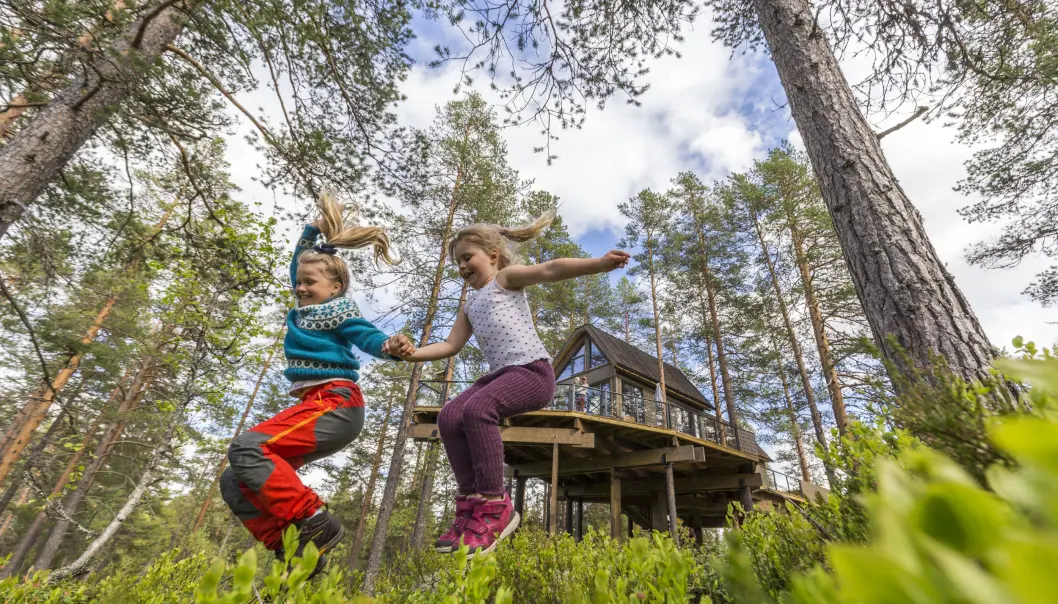 EN DEL AV NATUREN: Her kan du bo blant gyngende furukroner og våkne opp til fuglesang og lyden av vannet som bruser i elven rett nedenfor senga. EN DEL AV NATUREN: Her kan du bo blant gyngende furukroner og våkne opp til fuglesang og lyden av vannet som bruser i elven rett nedenfor senga.