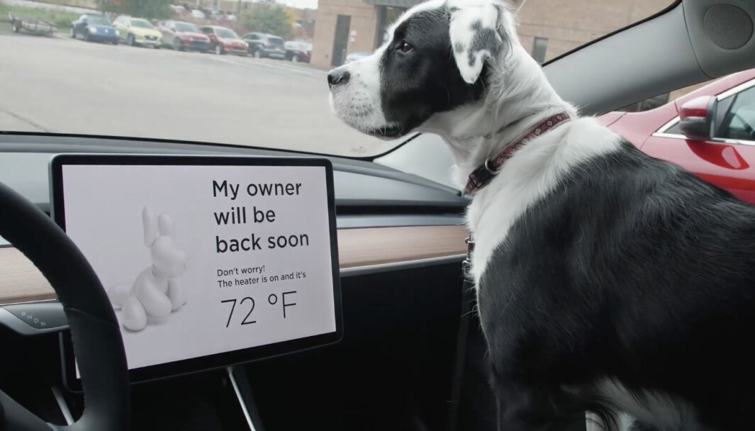 SJÅFØRENS BESTE VENN: Tesla har i to år hatt teknologi som sikrer tilpasset inneklima, slik at en hund kan oppholde seg i en parkert bil. SJÅFØRENS BESTE VENN: Tesla har i to år hatt teknologi som sikrer tilpasset inneklima, slik at en hund kan oppholde seg i en parkert bil.