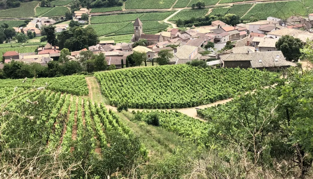 <span class="font-weight-bold" data-lab-font_weight_desktop="font-weight-bold">HEKKETID: </span>I vin-landsbyen Solutré-Pouilly knipser vi bakstussen på en «Padde — det norske kallenavnet på Citroën DS (1955-1975). <span class="font-weight-bold" data-lab-font_weight_desktop="font-weight-bold">HEKKETID: </span>I vin-landsbyen Solutré-Pouilly knipser vi bakstussen på en «Padde — det norske kallenavnet på Citroën DS (1955-1975).
