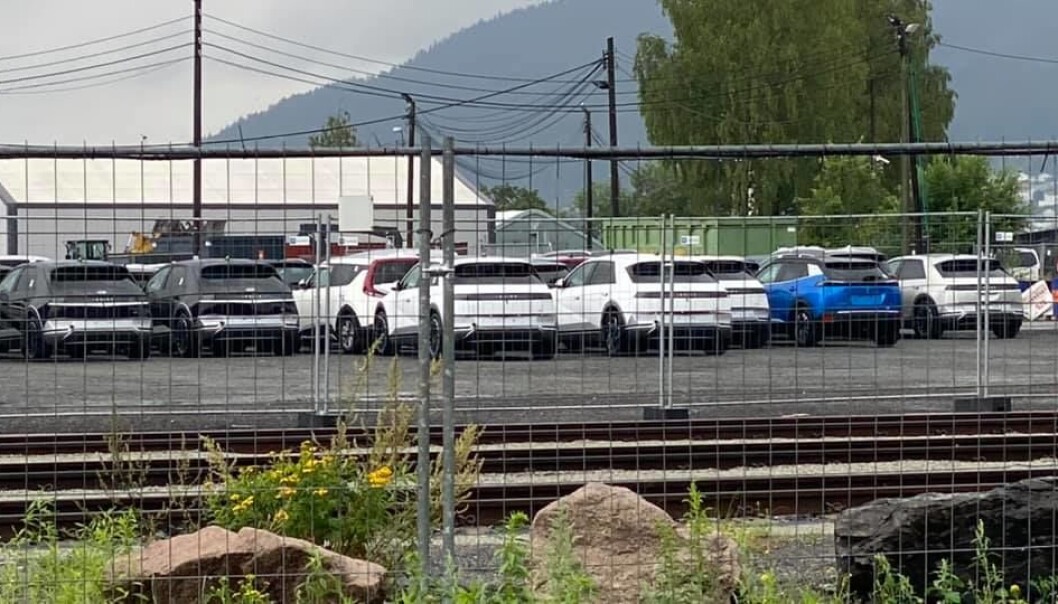 STÅR LENGE: Her står eksemplarer av Ioniq 5 – blant biler av andre merker – og venter på understellsbehandlingen i Drammen havn. STÅR LENGE: Her står eksemplarer av Ioniq 5 – blant biler av andre merker – og venter på understellsbehandlingen i Drammen havn.