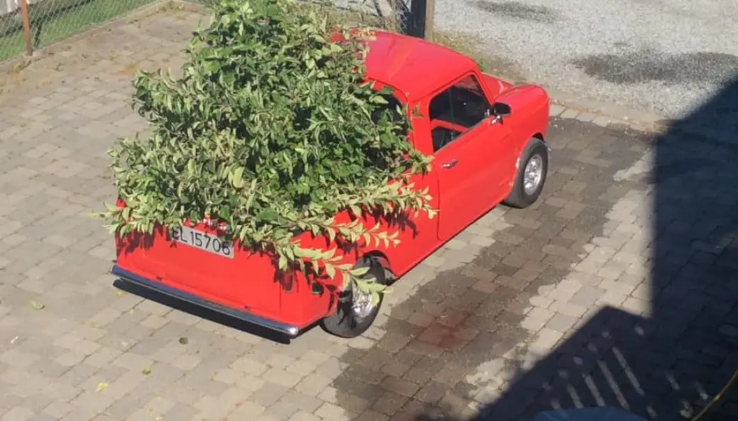 <span class="font-weight-bold" data-lab-font_weight_desktop="font-weight-bold">LASTEPLANLEGGING: </span>Konvertering av Mini Pick-up fra bensin til strøm kostet Caspar Hille mange arbeidstimer. Han mener den nå er bedre å kjøre enn før – og er fornøyd med at den ved siden av batteripakken på planet – har masse plass til hageavfall. <span class="font-weight-bold" data-lab-font_weight_desktop="font-weight-bold">LASTEPLANLEGGING: </span>Konvertering av Mini Pick-up fra bensin til strøm kostet Caspar Hille mange arbeidstimer. Han mener den nå er bedre å kjøre enn før – og er fornøyd med at den ved siden av batteripakken på planet – har masse plass til hageavfall.