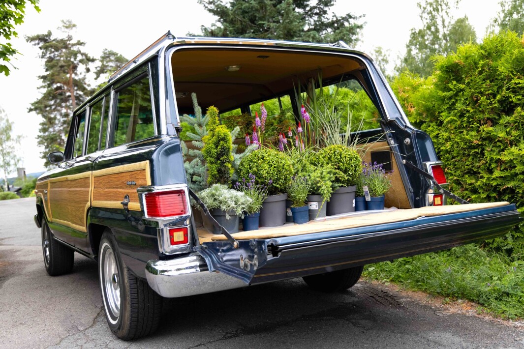 <span class="font-weight-bold" data-lab-font_weight_desktop="font-weight-bold">DØR TIL DØR: </span>Jeep Wagoneer ble bygget i nær tre tiår helt til 1991. Familien Haanæs’ utgave er fra aller siste produksjonsår. <span class="font-weight-bold" data-lab-font_weight_desktop="font-weight-bold">DØR TIL DØR: </span>Jeep Wagoneer ble bygget i nær tre tiår helt til 1991. Familien Haanæs’ utgave er fra aller siste produksjonsår.