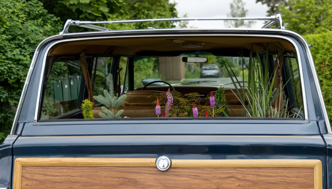 <span class="font-weight-bold" data-lab-font_weight_desktop="font-weight-bold">GRØNT ROM:</span> Halina Sjuve Haanæs gjør familiens Jeep-klassiker til en del av prosjektet Bøler Botaniske, som er foto og inspirasjon fra egen hage og nærliggende, fredede naturområder i Oslo-bydelen. <span class="font-weight-bold" data-lab-font_weight_desktop="font-weight-bold">GRØNT ROM:</span> Halina Sjuve Haanæs gjør familiens Jeep-klassiker til en del av prosjektet Bøler Botaniske, som er foto og inspirasjon fra egen hage og nærliggende, fredede naturområder i Oslo-bydelen.