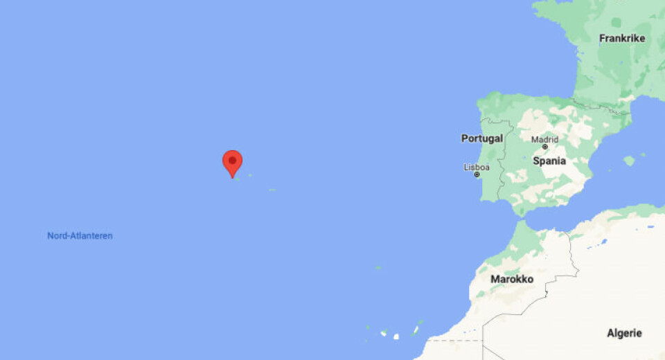 DRIVER: Skipet «Felicity Ace» befinner seg i nærheten av Azorene.