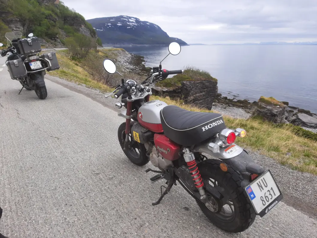 <span class="font-weight-bold" data-lab-font_weight_desktop="font-weight-bold">PORSANGERFJORDEN:</span> I dag ligger Porsangerfjorden stille, akkurat som om den ønsker oss velkommen. Det er ikke alltid slik ... <span class="font-weight-bold" data-lab-font_weight_desktop="font-weight-bold">PORSANGERFJORDEN:</span> I dag ligger Porsangerfjorden stille, akkurat som om den ønsker oss velkommen. Det er ikke alltid slik ...