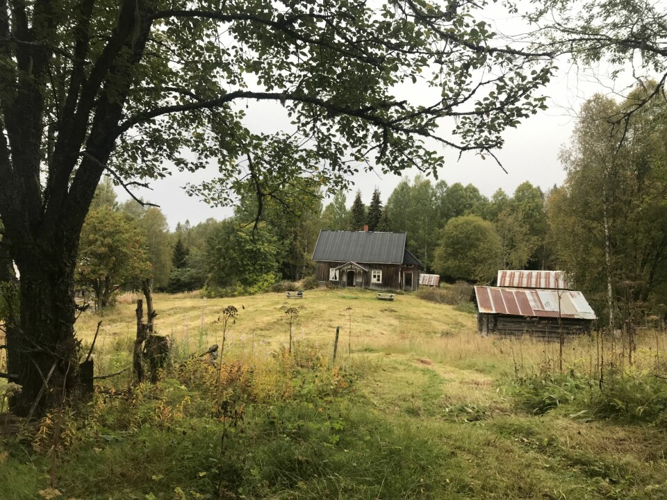 HUSMANNSPLASS: Abborhøgda på Varaldskogen er et flott turmål for en kort fottur.