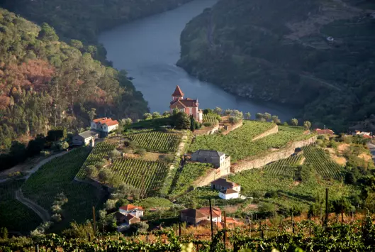 <span class="font-weight-bold" data-lab-font_weight_desktop="font-weight-bold">PORTVINSRUTEN:</span> Dourodalen med Douro-elven.