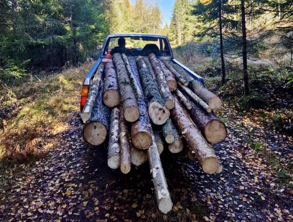 UTSTIKKER: Skogmester Erik Falla laster tunge stokker med bare nevene – så mye Nissans bakaksling bærer.