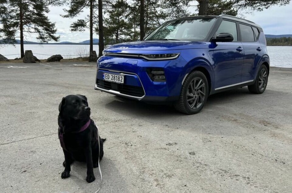 HUND OG HAN: Kristin Heimtun Karlstad liker turer med labradoren Alva per elbil. Hennes Kia e-soul bærer navnet «Diesel».