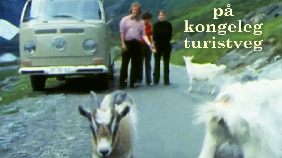 DEL VEIEN: Den norske dokumentarfilmen «På kongeleg turistveg» viser glade møter mellom bilister og geiter (Terje treff er ikke med). Foto: FAKSIMILE