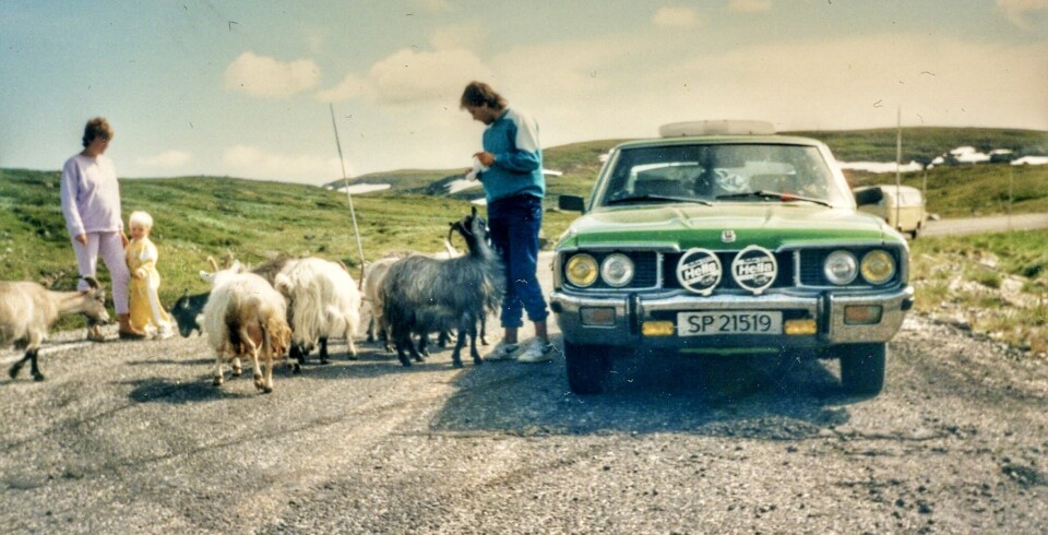 TOPPMØTE: En da 10 år gammel Datsun 260C og enda eldre geiter. Bileier Trond Jensen forklarer: – Det var jeg som tok bildet. Min bror står til høyre, og til venstre min daværende kone og vår treårige sønn. Foto: PRIVAT