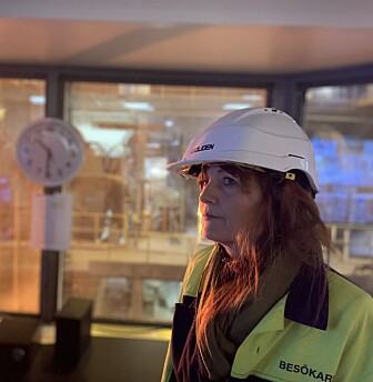 To år med svinedyr Tesla-streik i Sverige